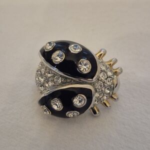 Vintage beetle brooch